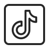 TikTok Logo Icon